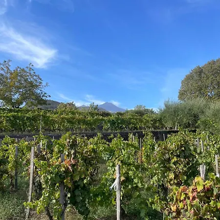 Le Dimore Del Corso I - Sicily Stay, Fra Catania, Taormina, Il Mare E L'etna *